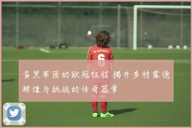 黄黑军团的欧冠征程 揭开多特蒙德辉煌与挑战的传奇篇章