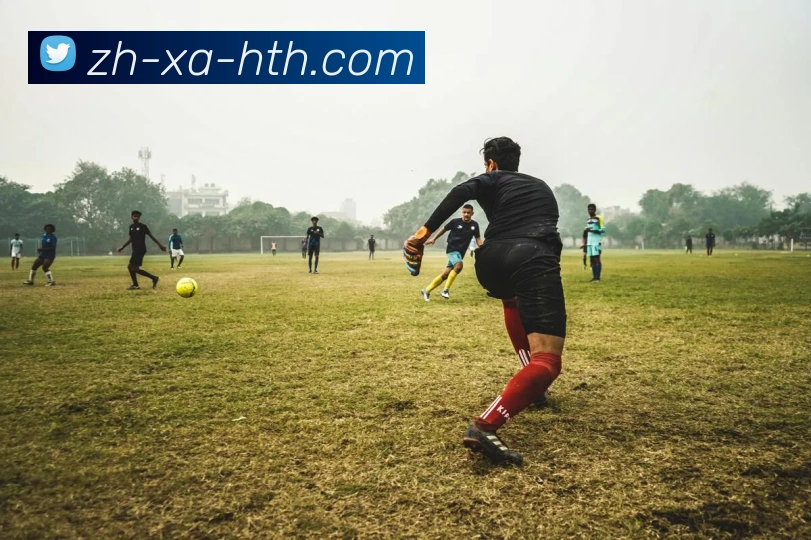 华体会登录入口平台生态图